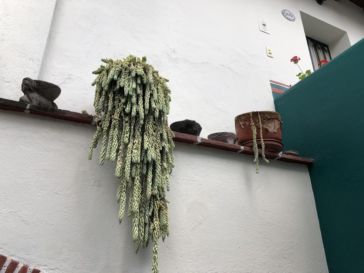 Meson Del Penasco Appartement Oaxaca Buitenkant foto